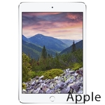 Ремонт Apple iPad mini 2 в Барнауле