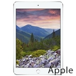 Ремонт Apple iPad mini 3 в Барнауле