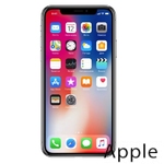 Ремонт iPhone X(10) в Барнауле